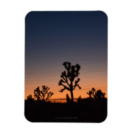 Ímã Sunset Joshua Trees