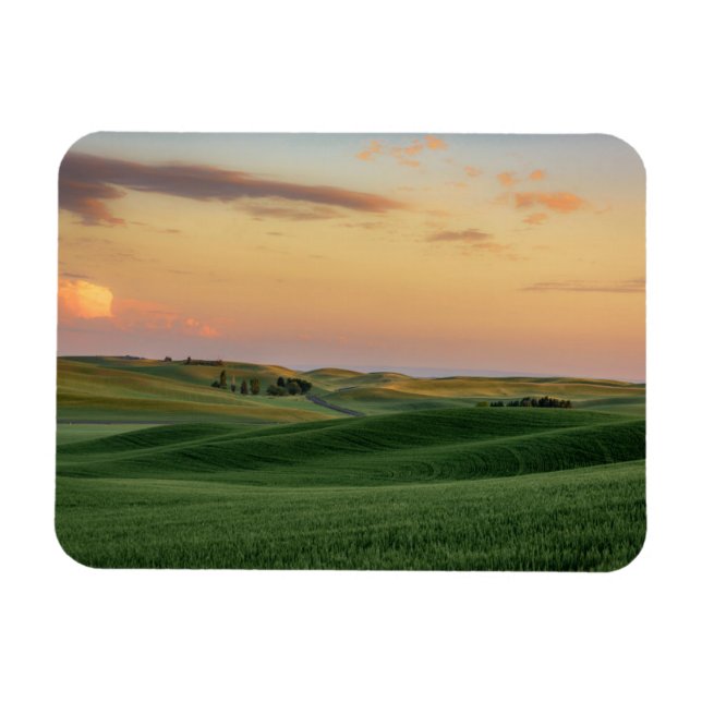 Ímã Sunset sobre Campos de Trigo | Estado de Washingto (Horizontal)
