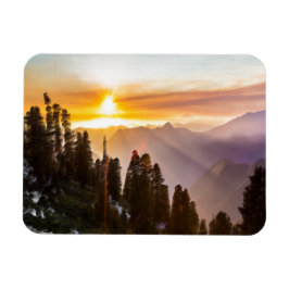 Ímã Sunset sobre floresta