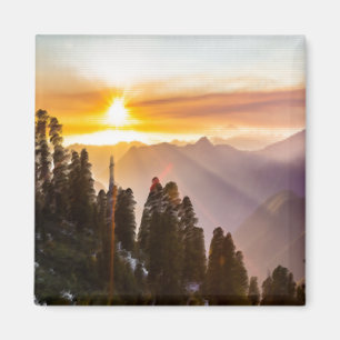 Imã Sunset sobre floresta