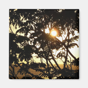 Imã Sunset Through Tres I Fotografia Tropical