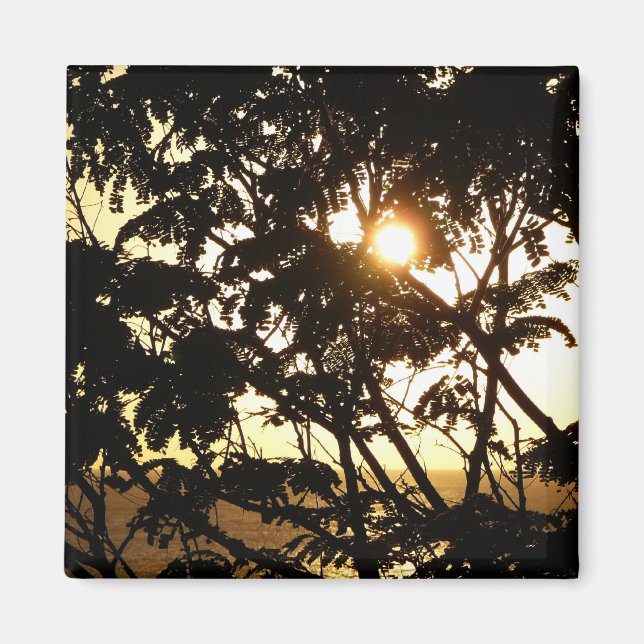 Imã Sunset Through Tres I Fotografia Tropical (Frente)