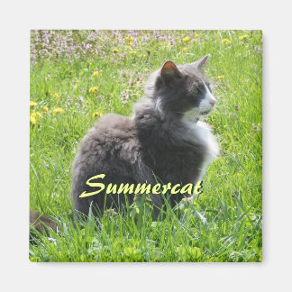 Imã Sunshine Cat Magnet