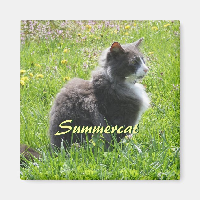 Imã Sunshine Cat Magnet (Frente)