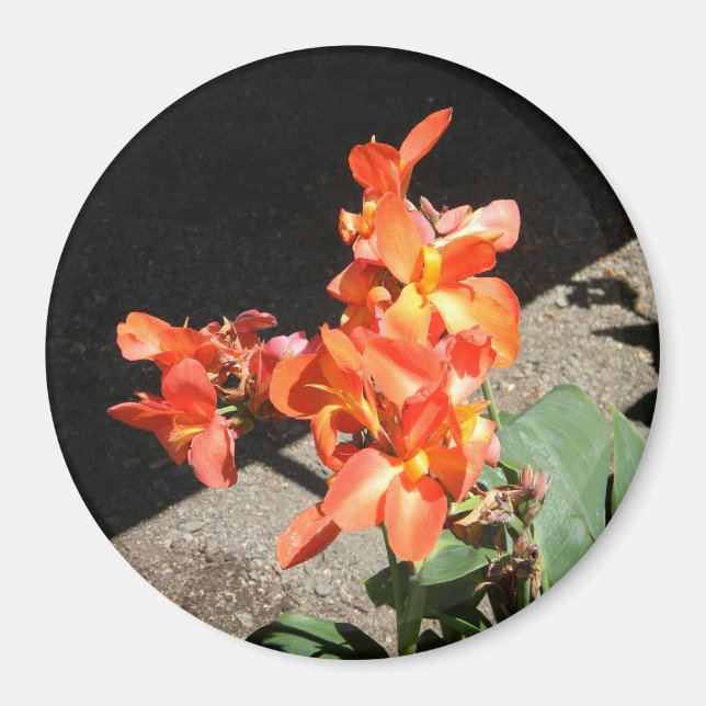 Imã Sunshine Love... (Frente)