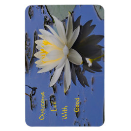 Ímã Supere o Mau com bom