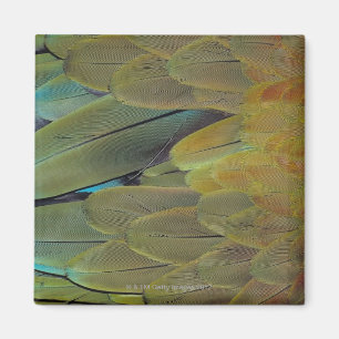 Imã Superfície da pena