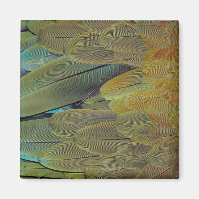 Imã Superfície da pena (Frente)