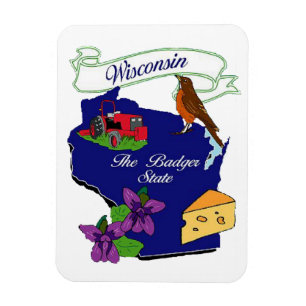 Ímã superior 3x4 do estado de Wisconsin