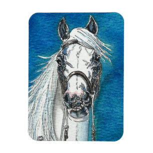 Ímã superior de Flexi do cavalo andaluz