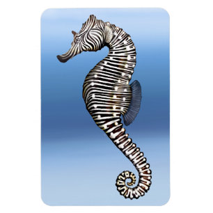 Ímã superior de Flexi do cavalo de mar da zebra 