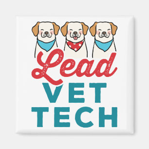 Imã Supervisor Técnico Veterinário de Chumbo