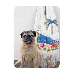 Ímã Surf Pug