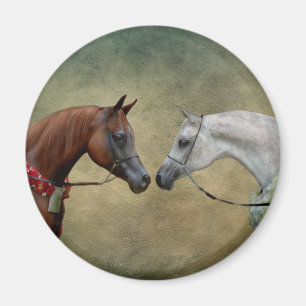 Imã Surreal, pintura de dois cavalos.