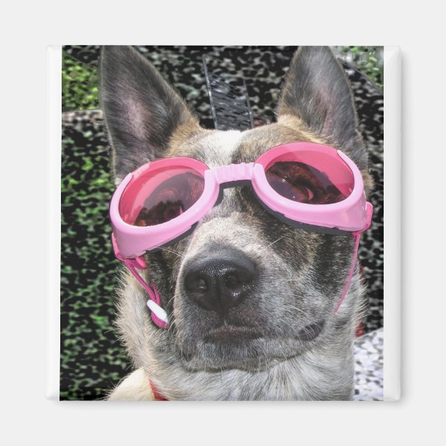 Imã Surrey Magnet (Frente)