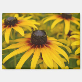 Imã Susan Flowers de Olhos Negros