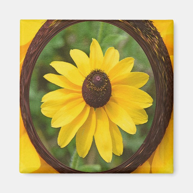 Imã Susan Sunny... (Frente)