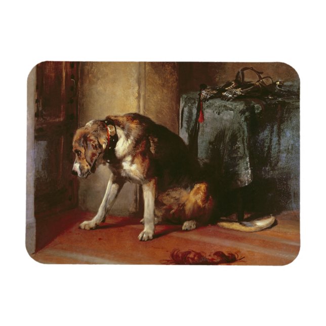 Ímã Suspenso (Horizontal)