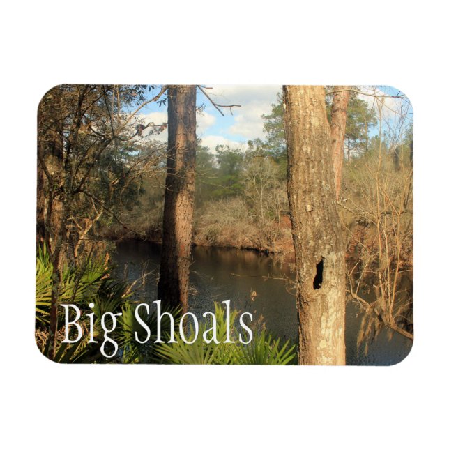 Ímã Suwanee River, Big Shoals State Park, Florida (Horizontal)