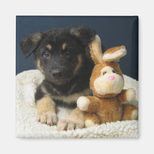 Imã Suzy Q (Frente)