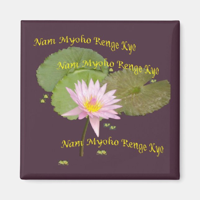 Imã Swaaj NMRK (Frente)