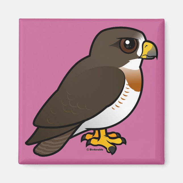 Imã Swainson's Hawk (Frente)