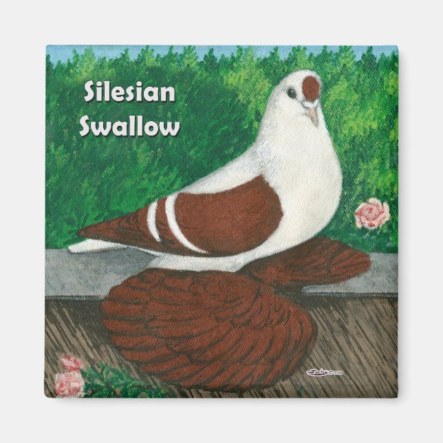 Imã Swallow Pigeon: Silésia (Frente)