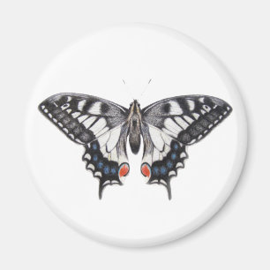 Imã Swallowtail 2012