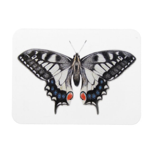 Ímã Swallowtail 2012 (Horizontal)