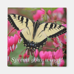 Imã Swallowtail oriental 2