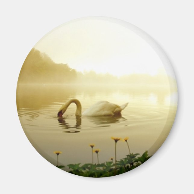 Imã Swan (Frente)