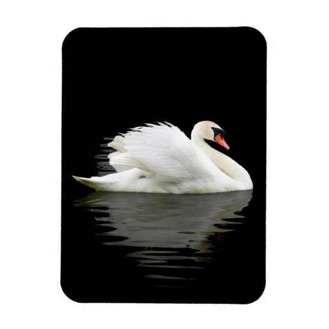 Ímã Swan (Vertical)