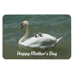 Ímã Swan Com Um Imagem Fotográfica Flexível Para Bebês