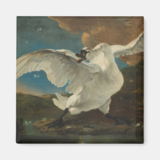 Imã Swan fine art Asselijn