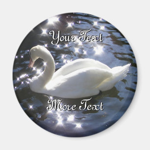 Imã Swan Magnet
