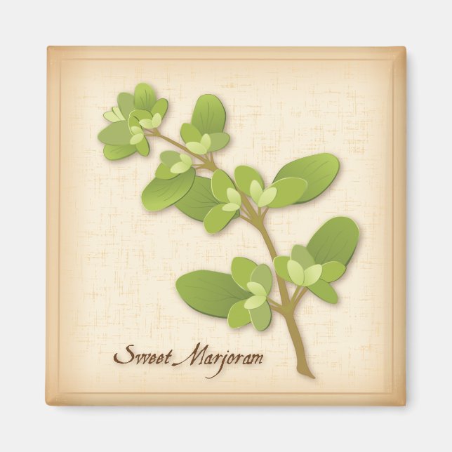 Imã Sweet Marjoram Herb (Frente)