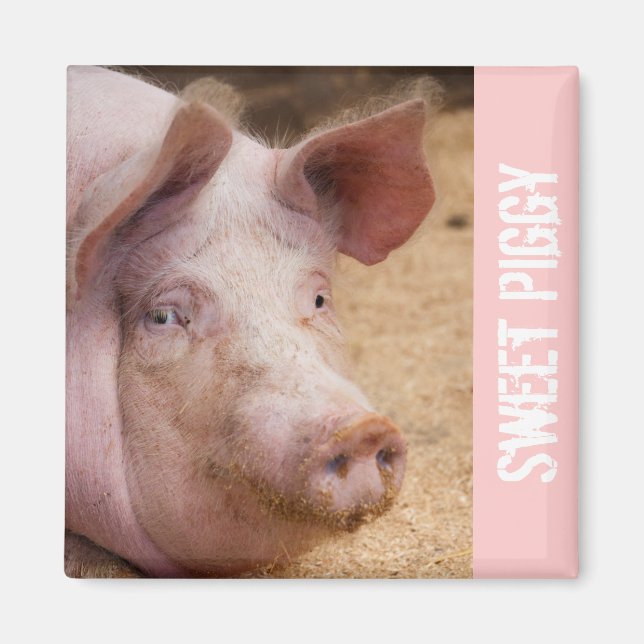 Imã Sweet Piggy Magnet (Frente)