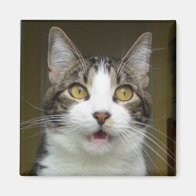 Imã Syrus Chocked Magnet 0001 (Frente)