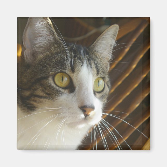 Imã Syrus Magnet 003 (Frente)