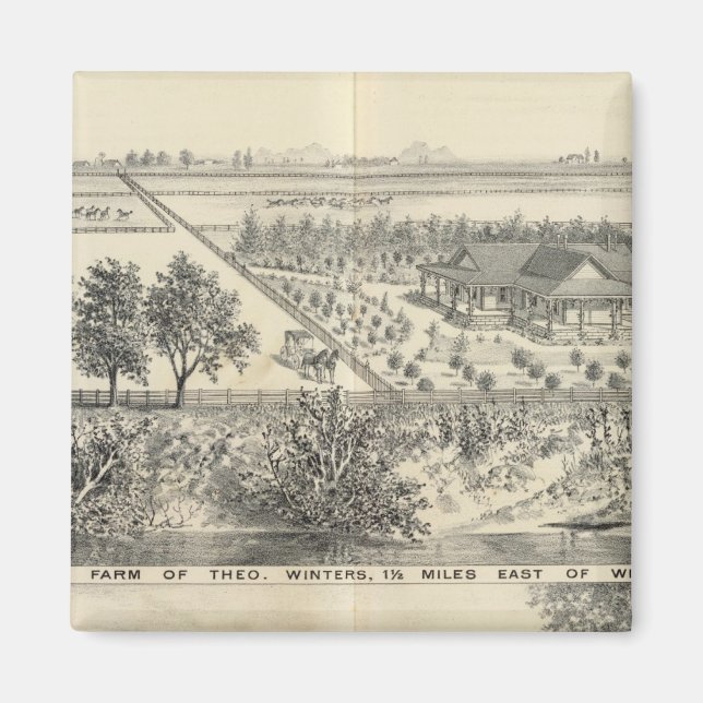 Imã T fazenda Winters (Frente)