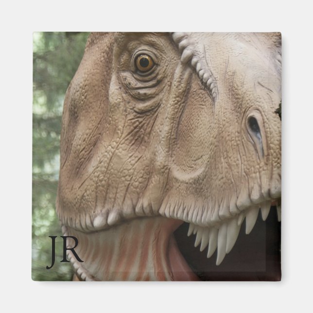 Imã T Rex Dinossaur Monograma (Frente)