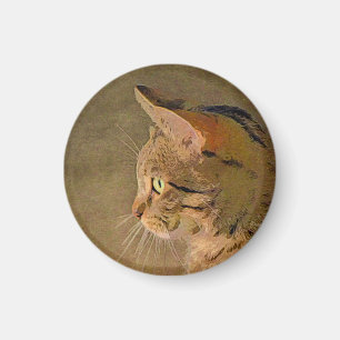 Imã Tabby Cat