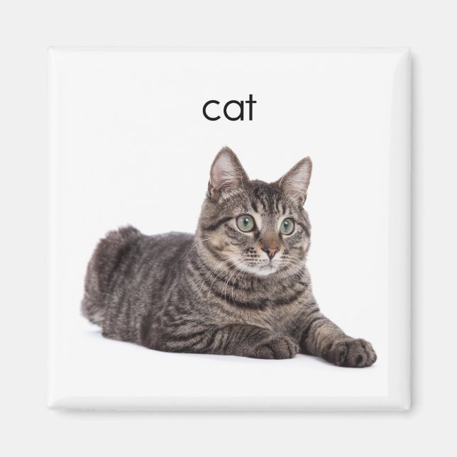 Imã Tabby Cat (Frente)