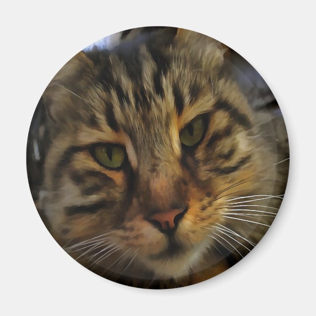 Imã Tabby Cat Artístico Retrato v2 (Frente)
