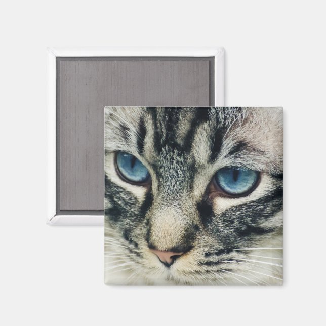 Imã Tabby Cat com Olhos Azuis Fechamento (Front/Back)