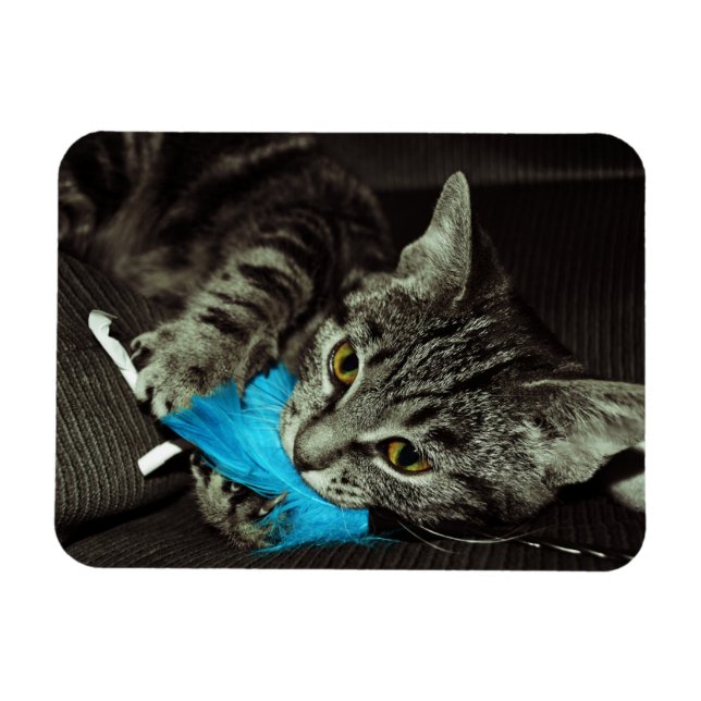 Ímã Tabby Cat com pena de Shirley Taylor (Horizontal)