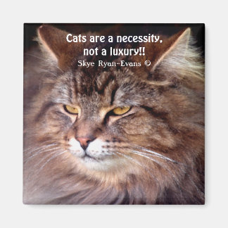 Imã Tabby Maine Coon Cat Lover & Poem Magnet