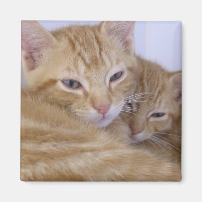 Imã Tabelas Laranja (Frente)