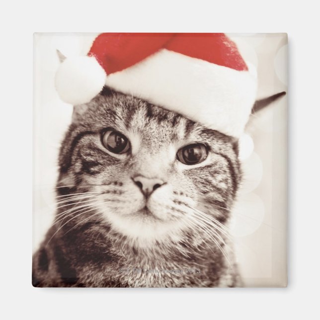 Imã Tabuleiro doméstico vestindo chapéu de Natal verme (Frente)