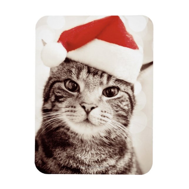 Ímã Tabuleiro doméstico vestindo chapéu de Natal verme (Vertical)
